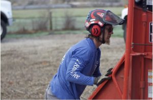 remove trees, make mulch