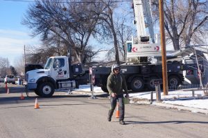 Experienced Tree Care in Boise