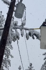 Idaho tree trimming power lines